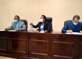 Bénin / Validation de l’analyse rapide Genre de la crise liée à la COVID-19:Le PNUD oeuvre pour la limitation des impacts du coronavirus sur le bien-être social des femmes et des filles.