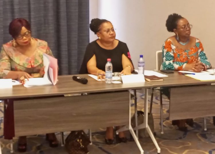 Protection des femmes victimes de violences au Bénin: L’assistance juridique et judiciaire offerte par l’INF exposée aux acteurs et partenaires