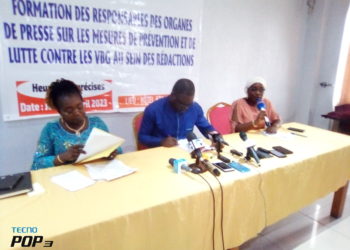 Prévention et lutte contre les VBG dans les réactions de presse: L’UPMB et ses partenaires renforcent les capacités des responsables d’organes de presse