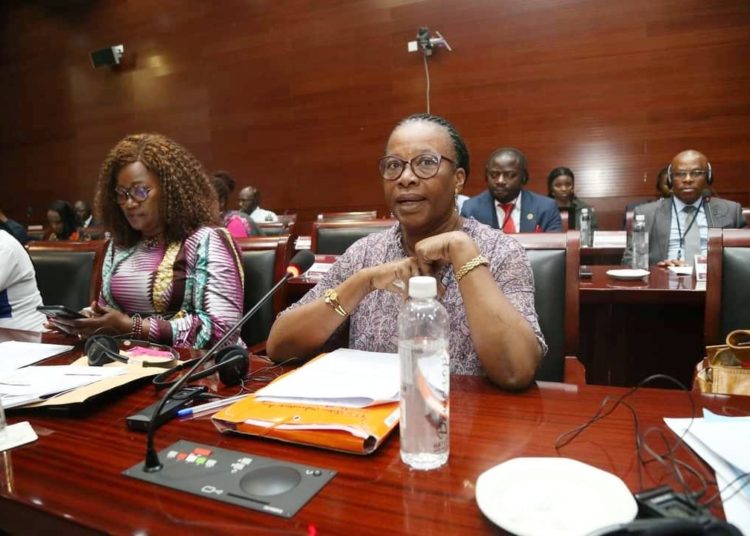 Droits de l’enfant : La CBDH représente le Bénin à la session de la CAEDBE au Lesotho