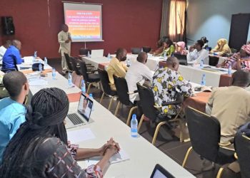 Respect des droits de l’Homme en période électorale : L’expert Serge Prince-Agbodjan aguerrit la CNDH du Tchad