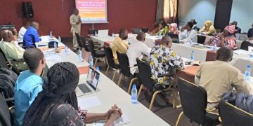 Respect des droits de l&rsquo;Homme en période électorale : L&rsquo;expert Serge Prince-Agbodjan aguerrit la CNDH du Tchad