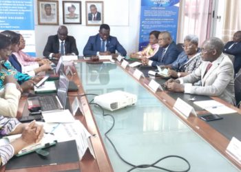 Mécanisme National de Prévention de lutte contre la torture: La CBDH et la CNDH du Togo échangent leurs expériences